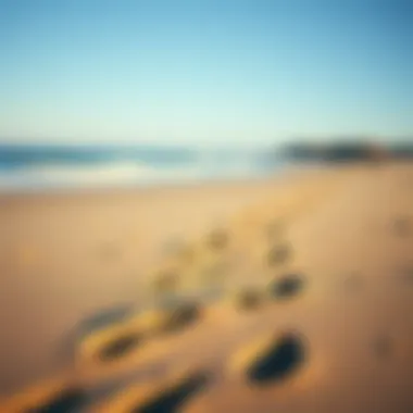 Footprints on a sandy beach
