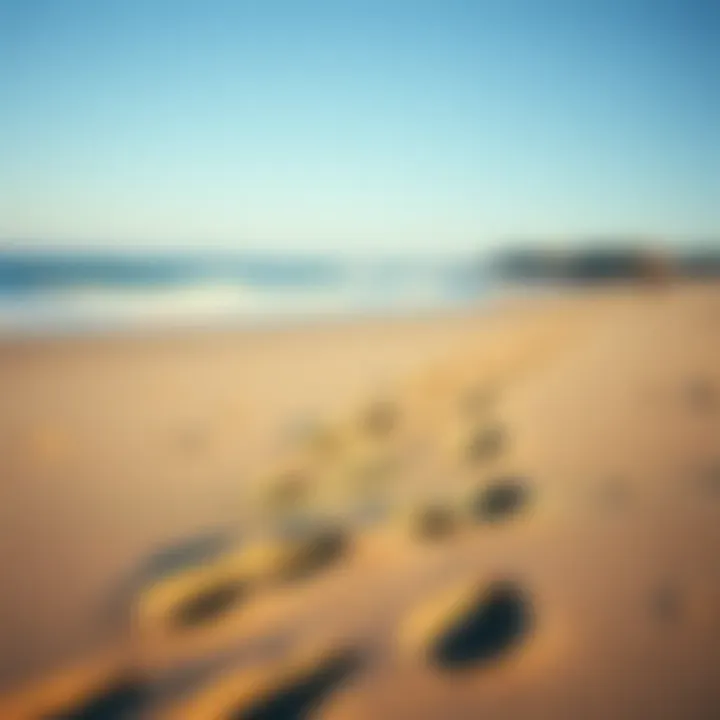 Footprints on a sandy beach