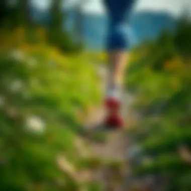 Scenic walking path in nature