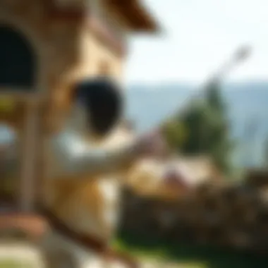 Historical depiction of fencing practice from the past