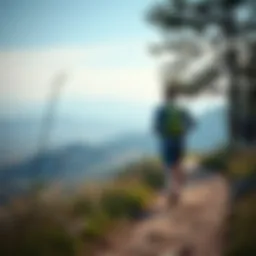 Scenic landscape for walking