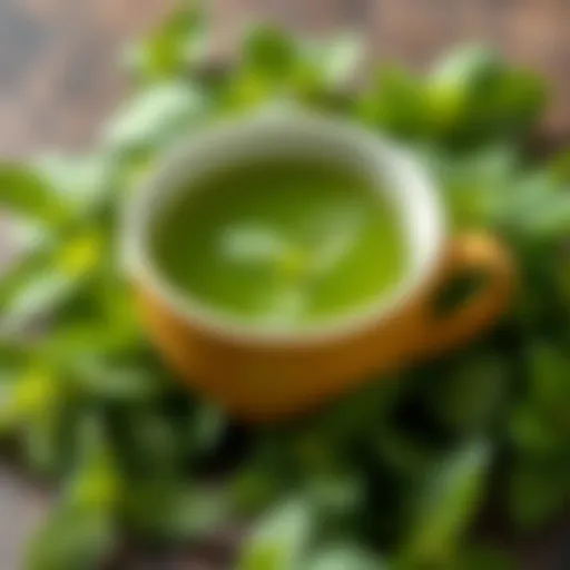 A vibrant green tea cup surrounded by fresh mint leaves