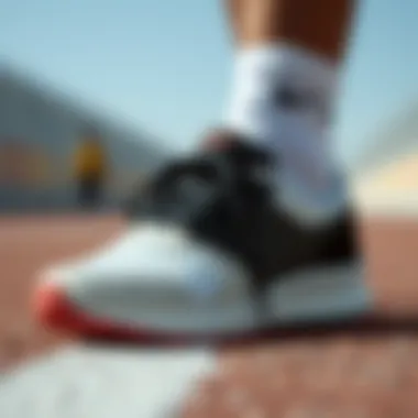 Comparison of Nike Pegasus with alternative sports models