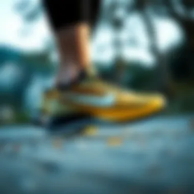 Nike Pegasus shoes in an outdoor running setting