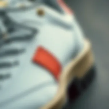 Quality Craftsmanship Highlighted Close-up of high-quality materials used in Pierre Cardin footwear