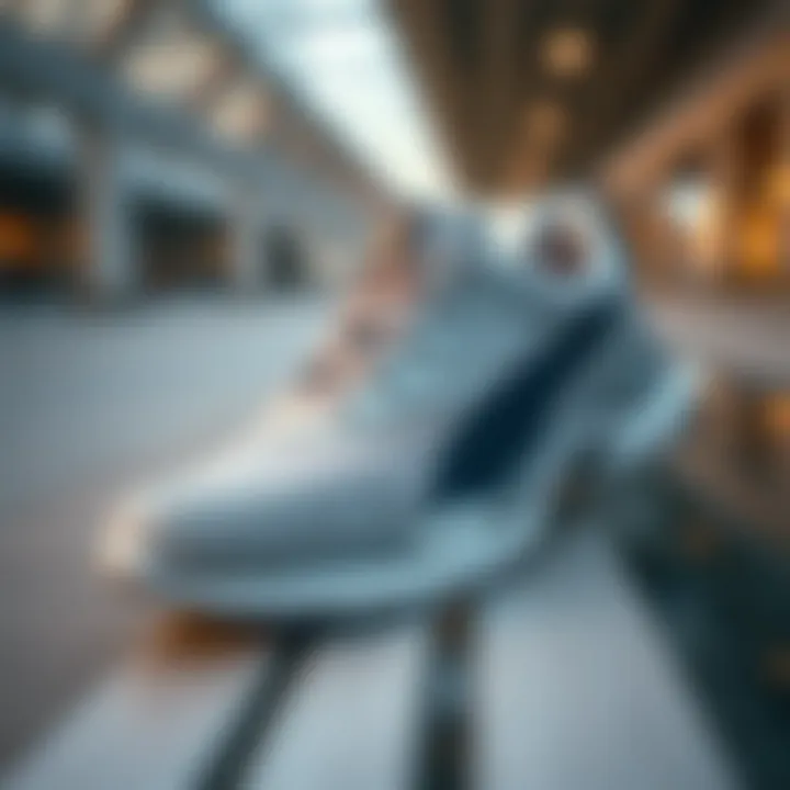 Elegance Meets Functionality Stylish Pierre Cardin sports shoes on a modern surface