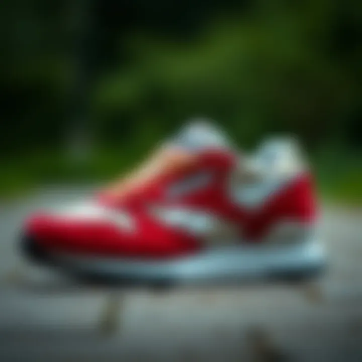 Reebok C 85: Bir Dönüm Noktası Summary Reebok C 85: Bir Dönüm Noktası Summary