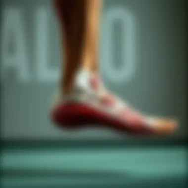 Anatomical illustration of the soleus muscle