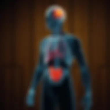 Illustration of stress symptoms in the body