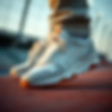 Exquisite Design Elements of Tiger Shoes Close-up of Tiger shoes highlighting design details