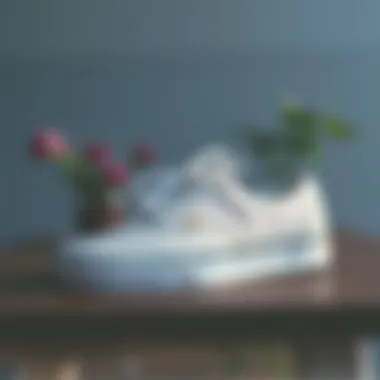 Minimalist Design of Vans Era Stylish Vans Era shoes showcasing minimalist design